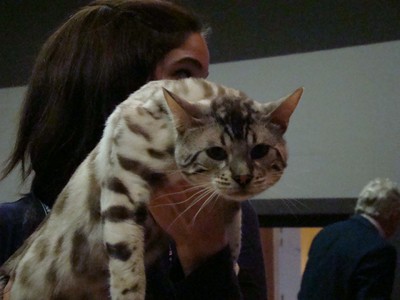 20121021_243 (Expo)